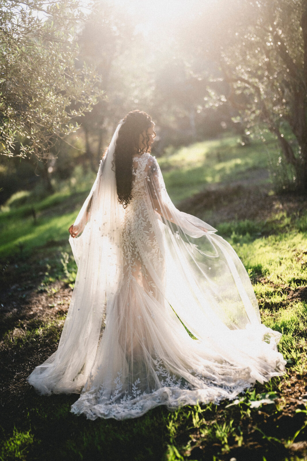 bride and silhouettes