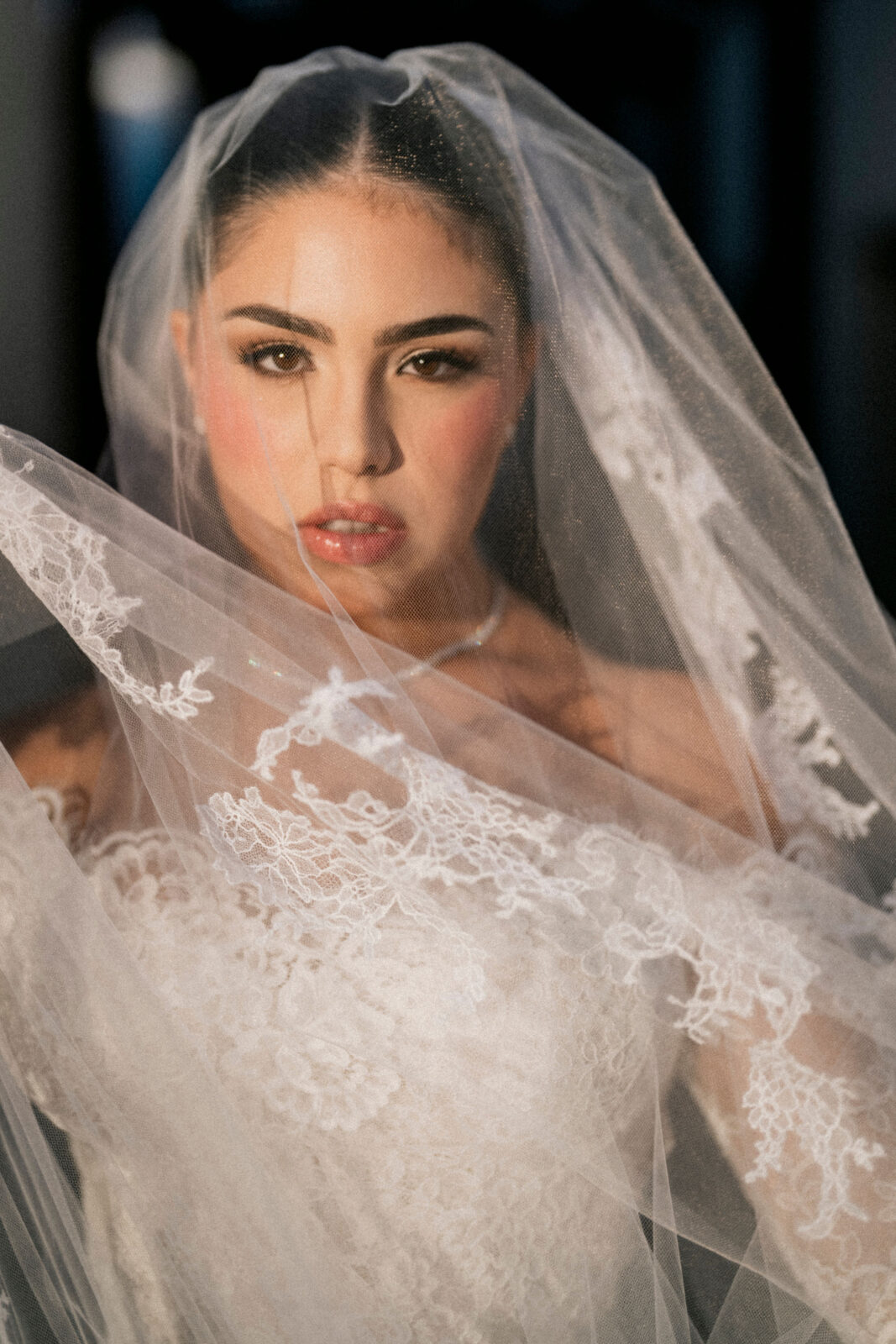 bride's portrait