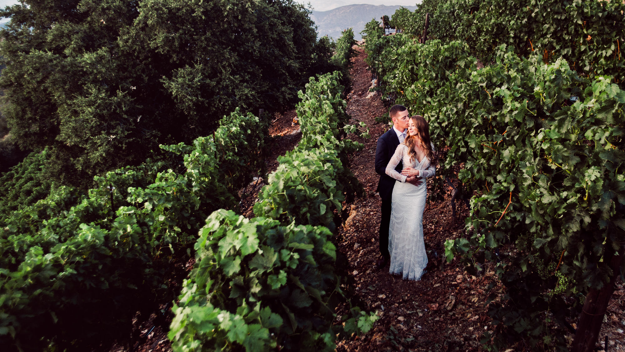 wedding malibu rocky oaks estate vineyards, malibu, california